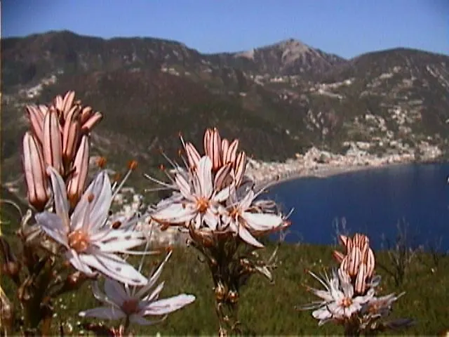 Casaeolia Golden * Canneto (Lipari)