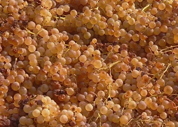 Casaeolia Golden Дом отдыха *